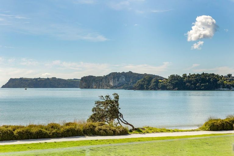 Photo of property in 38 Buffalo Beach Road, Whitianga, 3510
