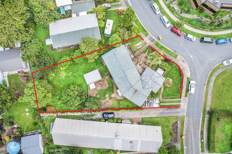 Photo of property in 19 Patricia Avenue, Hamilton East, Hamilton, 3216