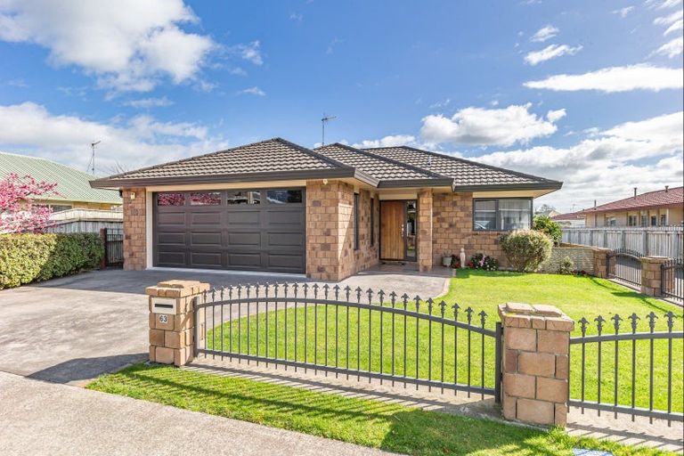 Photo of property in 63 Winchester Street, Levin, 5510