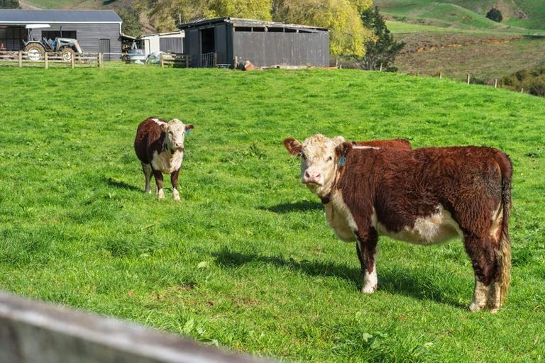 Photo of property in 998 Limeworks Loop Road, Karamu, Hamilton, 3285