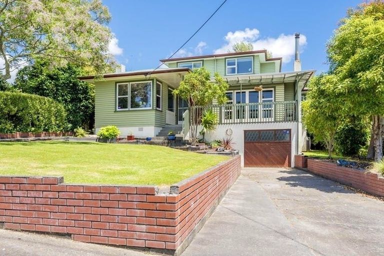 Photo of property in 31 Chester Street, Levin, 5510