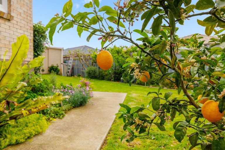 Photo of property in 11a Lilac Place, Otumoetai, Tauranga, 3110