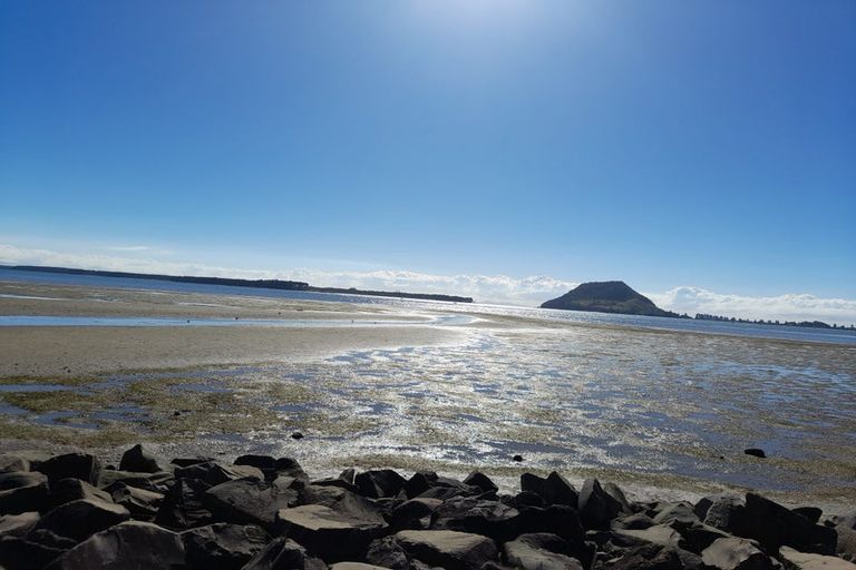 Photo of property in 1/24 Kulim Avenue, Otumoetai, Tauranga, 3110