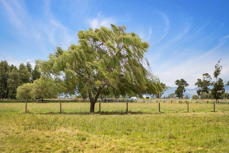 Photo of property in 992 Hauraki Road, Turua, Thames, 3574