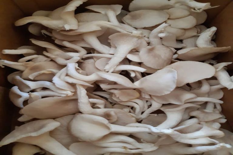 Photo of property in 405 Nightcaps-ohai Highway, Ohai, Otautau, 9689