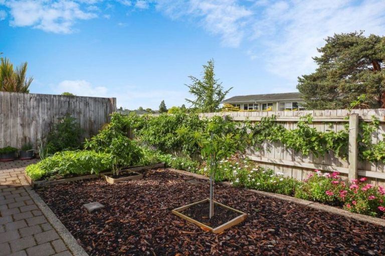 Photo of property in 2 Nyanza Street, Nawton, Hamilton, 3200