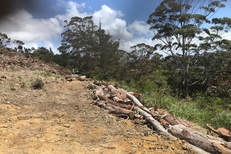 Photo of property in 8 Matariki Place, Karikari Peninsula, 0483