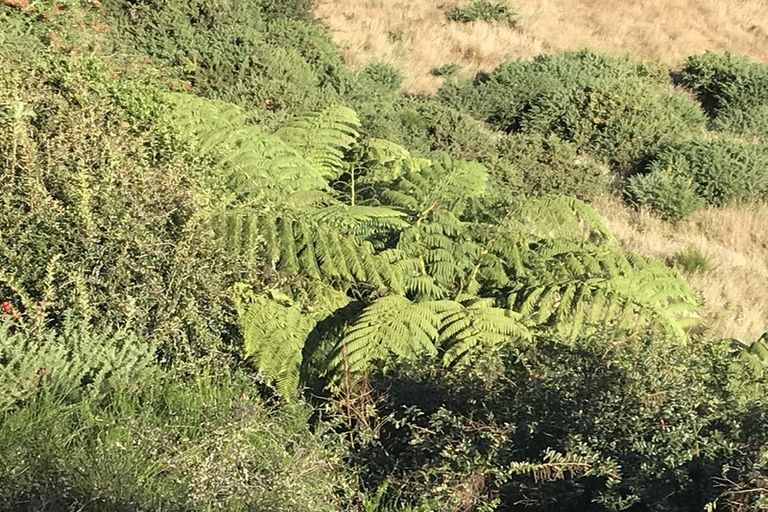 Photo of property in 73a Kaikokopu Road, Aramoho, Whanganui, 4500