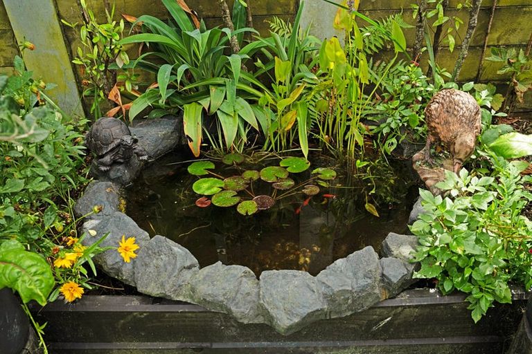 Photo of property in 43 Patrick Rice Drive, Swanson, Auckland, 0614