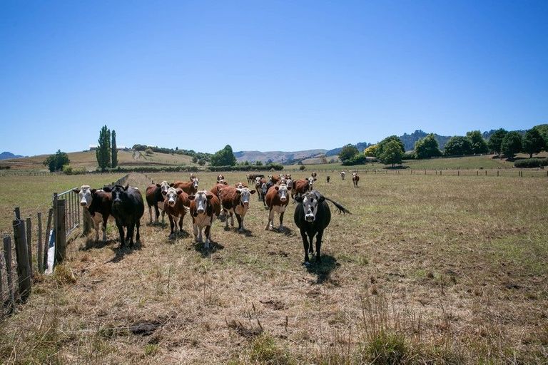 Photo of property in 4/11 Fencourt Road, Cambridge, 3496