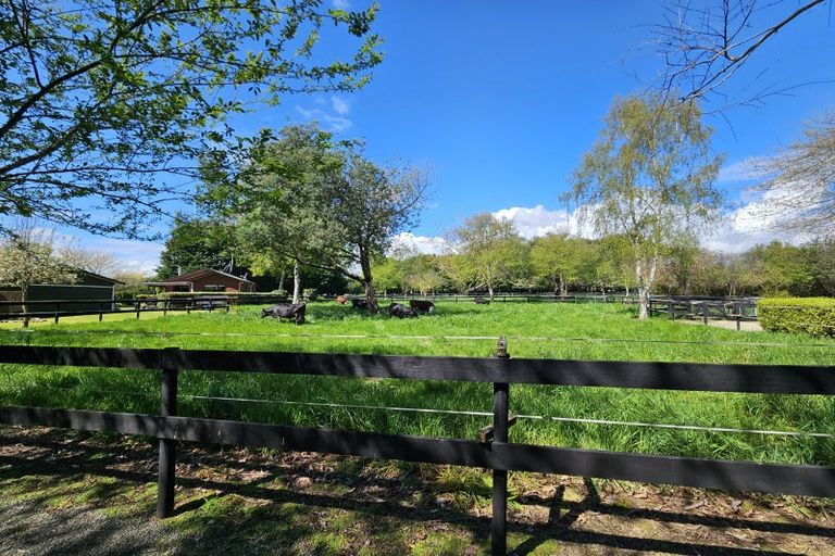 Photo of property in 80 Avenue North Road, Levin, 5510