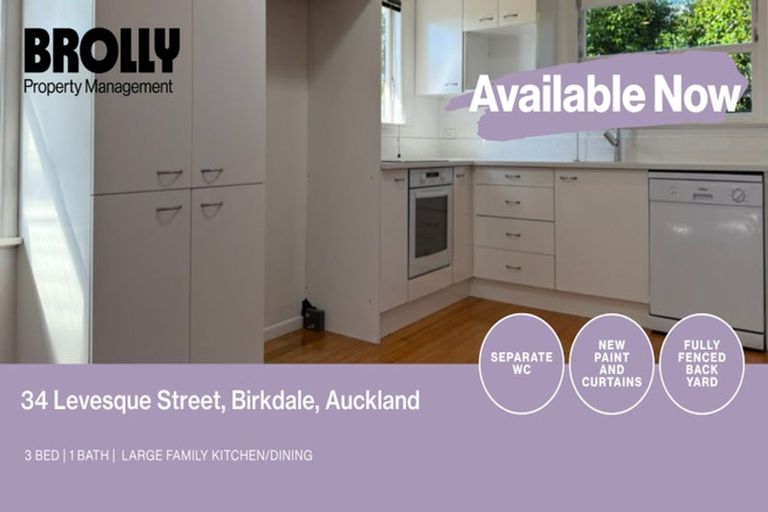 Photo of property in 34 Levesque Street, Birkdale, Auckland, 0626