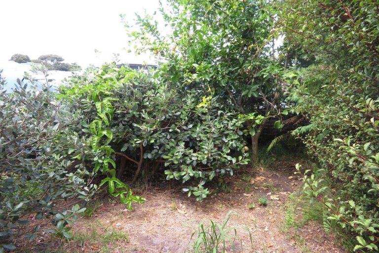 Photo of property in 15a Northwood Avenue, Pukenui, Kaitaia, 0484