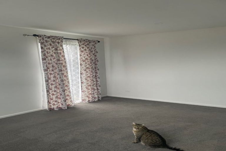 Photo of property in 29 Petries Road, Woodend, 7610