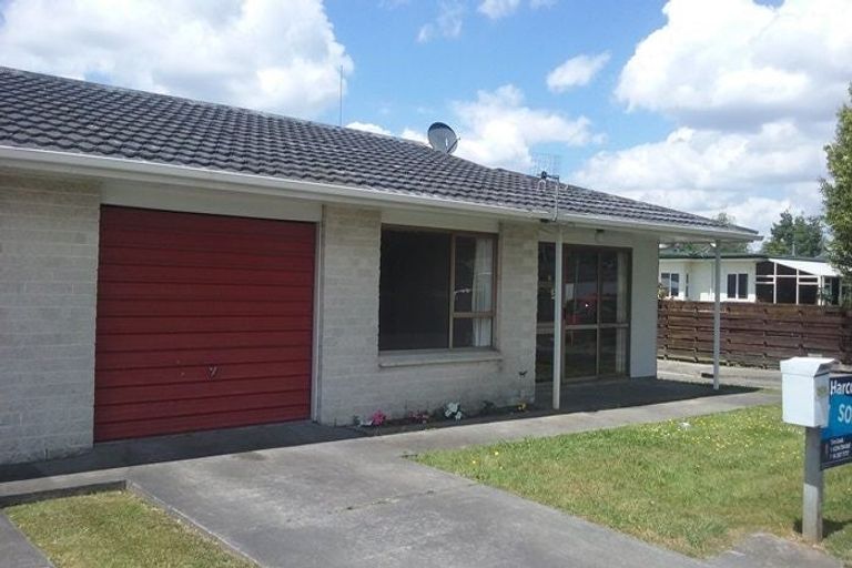 Photo of property in 290a Tremaine Avenue, Takaro, Palmerston North, 4412