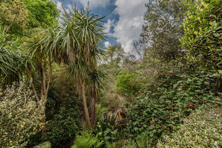 Photo of property in 3 Mcconnell Lane, Chartwell, Hamilton, 3210