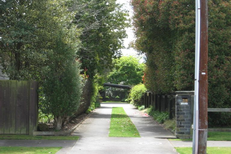 Photo of property in 38 Scannell Street, Taupo, 3330