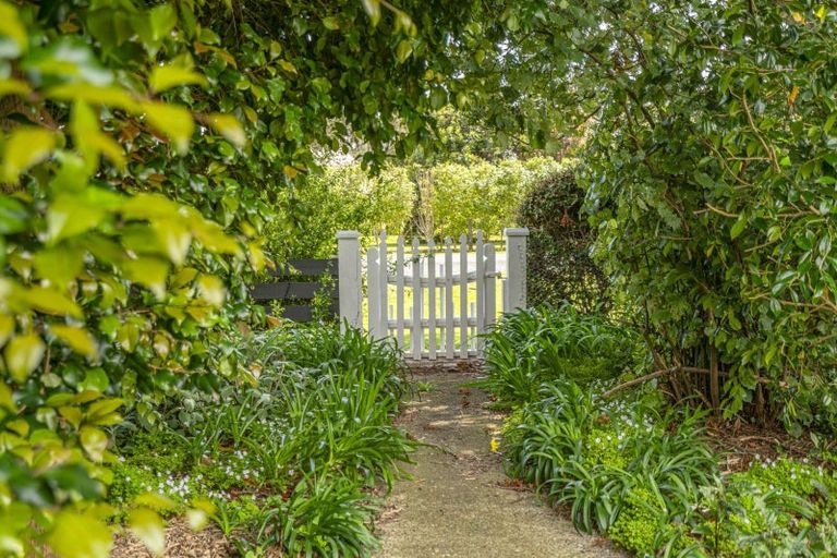 Photo of property in 72 Whangapoua Sh25 Road, Coromandel, 3506