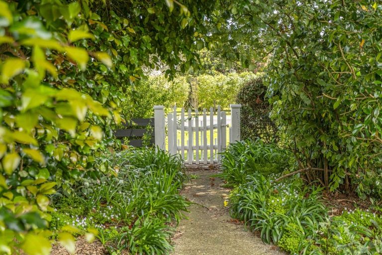 Photo of property in 72 Whangapoua Sh25 Road, Coromandel, 3506