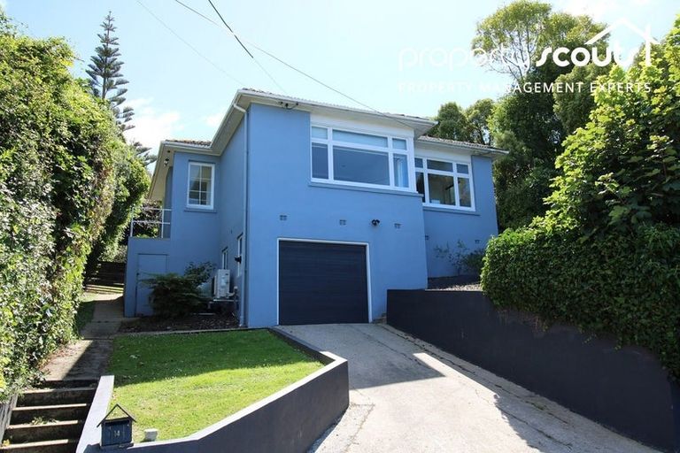 Photo of property in 14 Coney Hill Road, Saint Clair, Dunedin, 9012