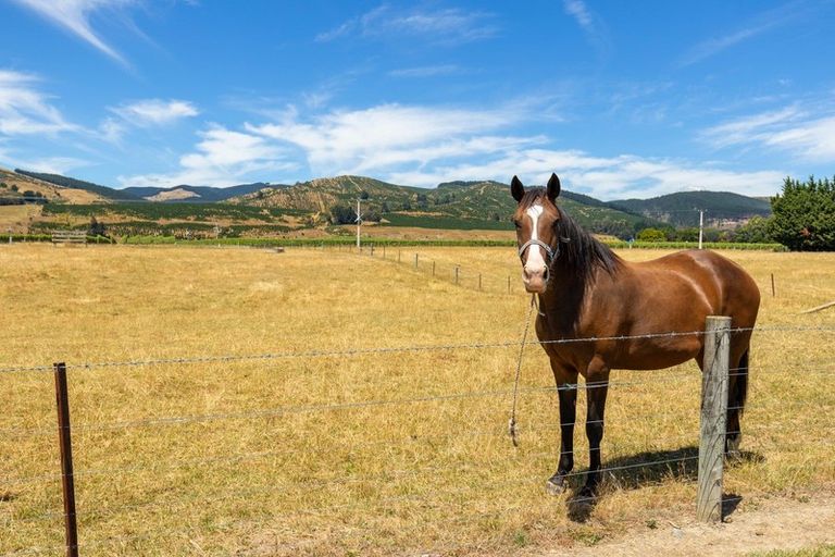 Photo of property in 2492 State Highway 63, Wairau Valley, Blenheim, 7271