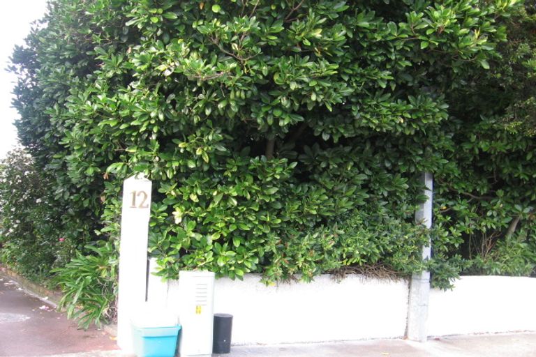 Photo of property in 12 Bloomfield Terrace, Hutt Central, Lower Hutt, 5010