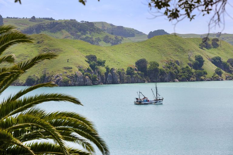 Photo of property in 29 Rose Street, Raglan, 3225