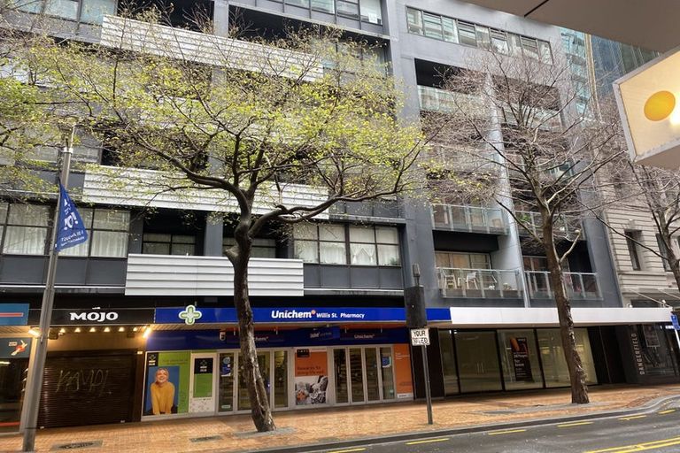 Photo of property in Gerondis Bldg Apartments, 304/60 Willis Street, Wellington Central, Wellington, 6011