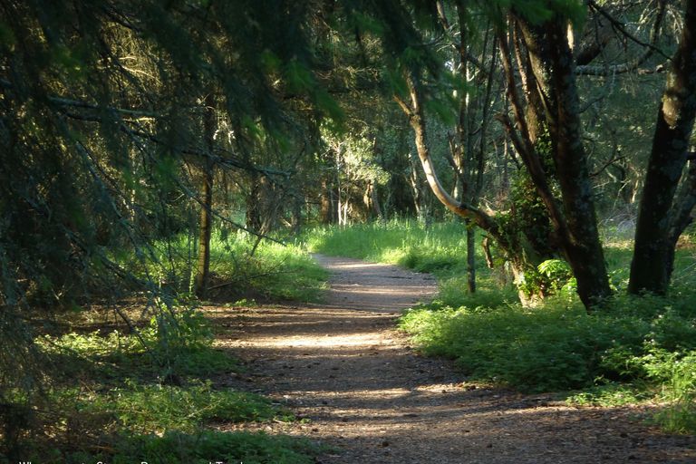 Photo of property in 113 Lisland Drive, Kinloch, Taupo, 3377