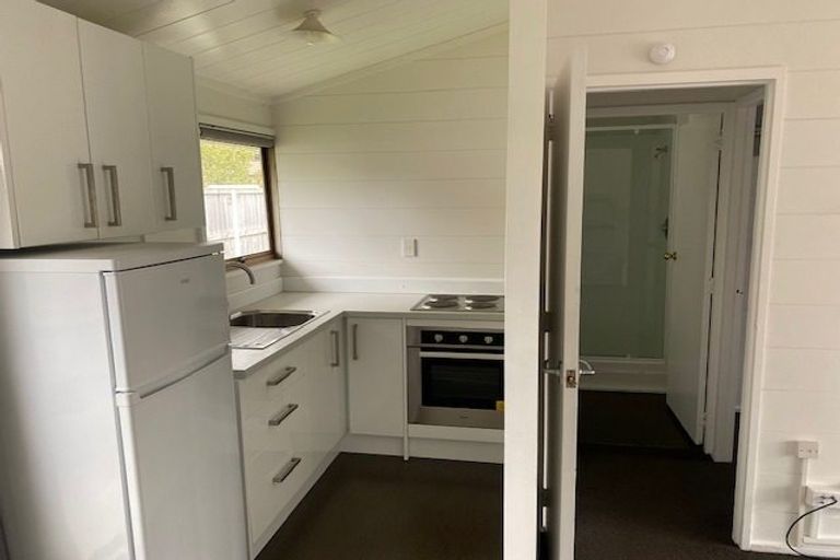 Photo of property in 13 Albert Street, Hamilton East, Hamilton, 3216