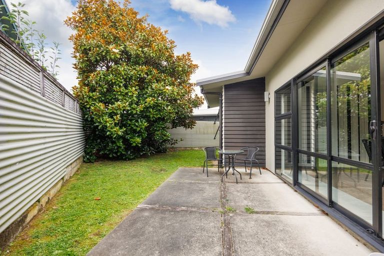 Photo of property in 12a Conway Place, Terrace End, Palmerston North, 4410