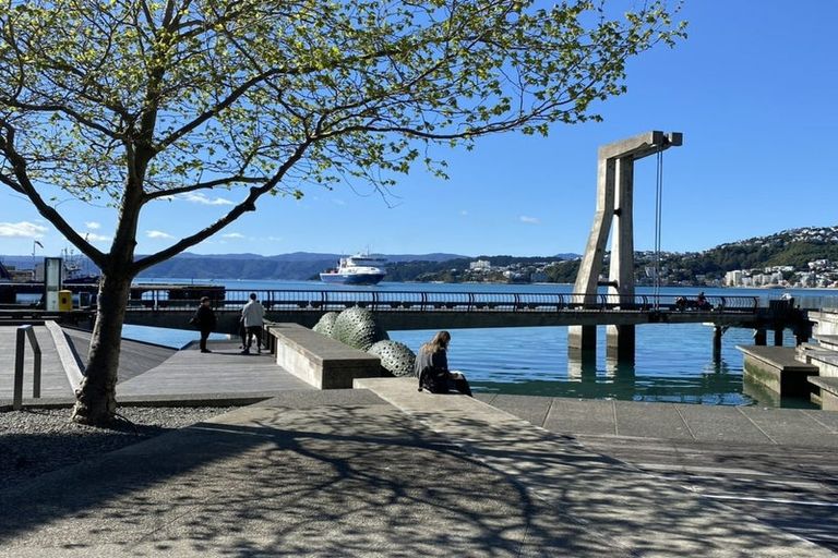 Photo of property in Waterloo Quay Apartments, 216/28 Waterloo Quay, Pipitea, Wellington, 6011