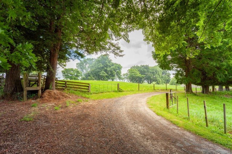 Photo of property in 113 Domain Road, Putaruru, 3482