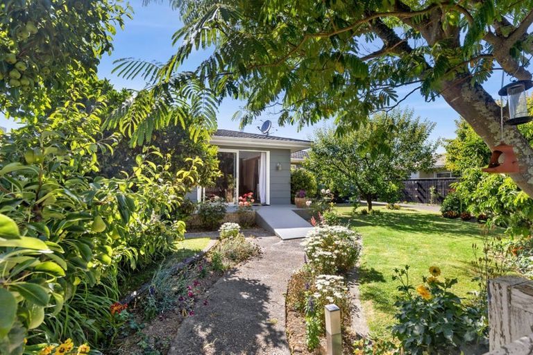 Photo of property in 29 York Street, Motueka, 7120