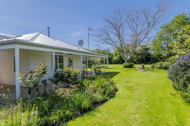 Photo of property in 26 Homewood Avenue, Levin, 5510