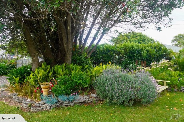 Photo of property in 31 South Highway East, Whitianga, 3510