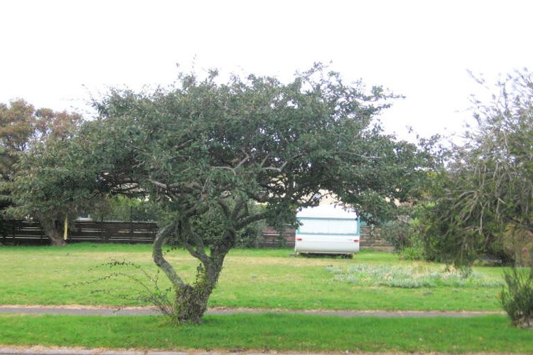 Photo of property in 110 Charleston Avenue, Whangamata, 3620