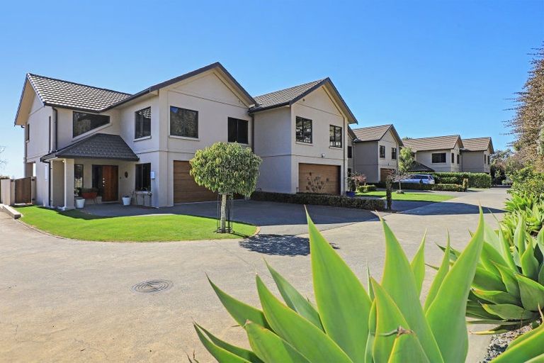 Photo of property in 2/39 Reeve Drive, Havelock North, 4130