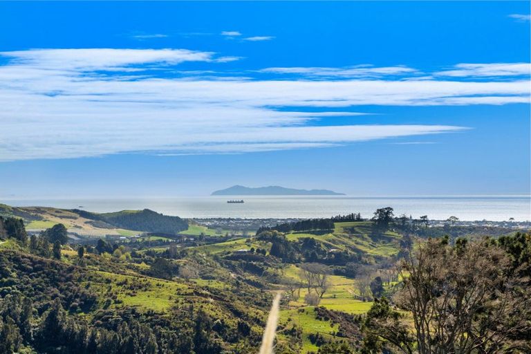 Photo of property in 225 Rocky Cutting Road, Waitao, Tauranga, 3175