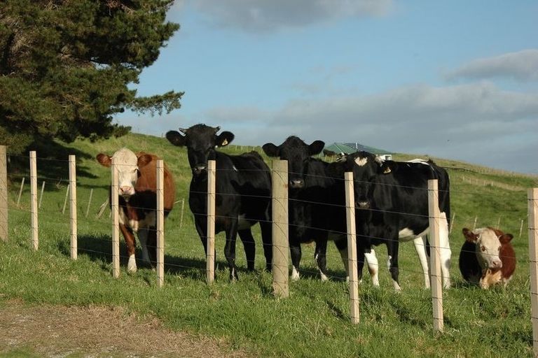 Photo of property in 608b West Coast Road, Makarau, Warkworth, 0981