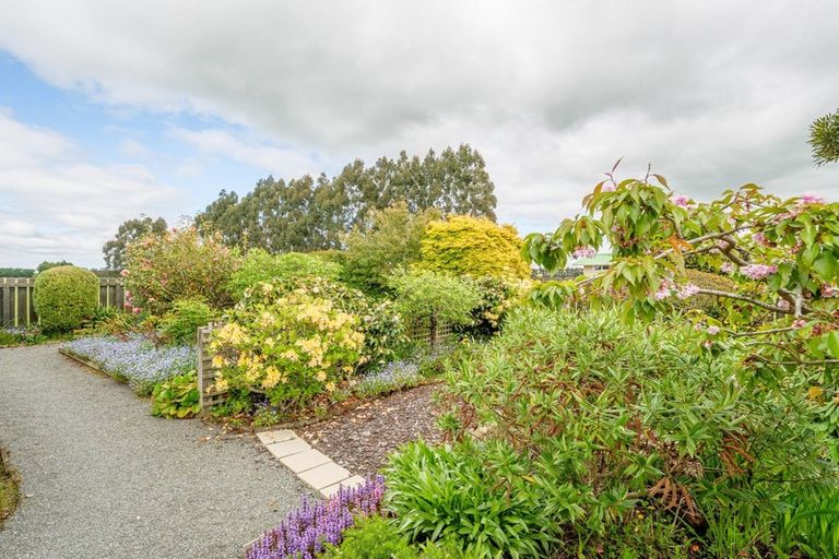 Photo of property in 47 Dejoux Road, Winton, 9720