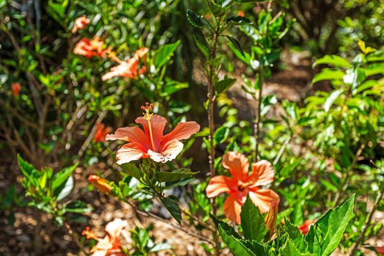 Photo of property in 80 Campbell Road, Parua Bay, Onerahi, 0192