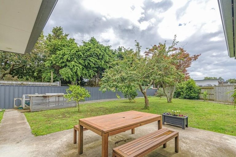 Photo of property in 153 Stanford Street North, Ashhurst, 4810