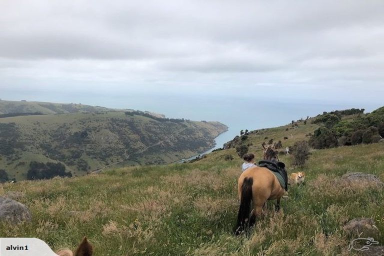 Photo of property in 64 View Hill Road, Little Akaloa, 7583