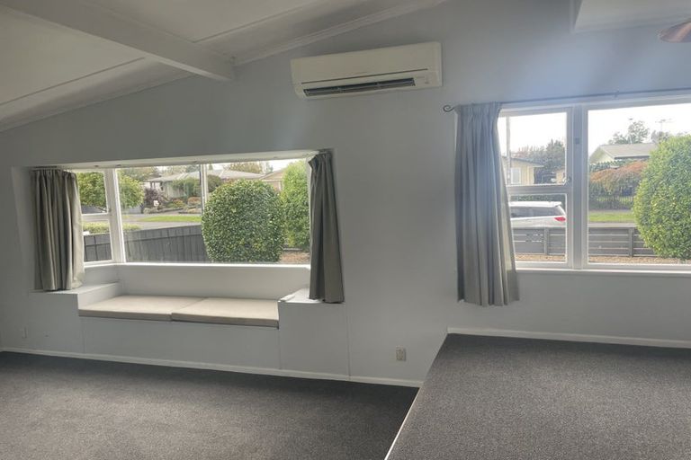 Photo of property in 41 Fitzroy Avenue, Fitzroy, Hamilton, 3206