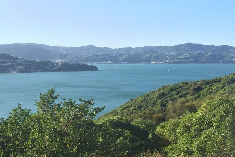 Photo of property in 99 Kaikoura Street, Maupuia, Wellington, 6022