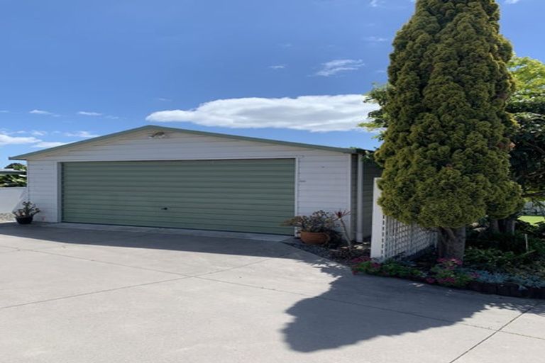Photo of property in 66 Campbell Road, Mount Maunganui, 3116