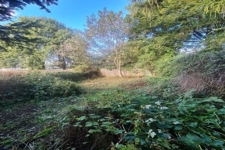 Photo of property in 8 Queen Street, Springfield, 7681