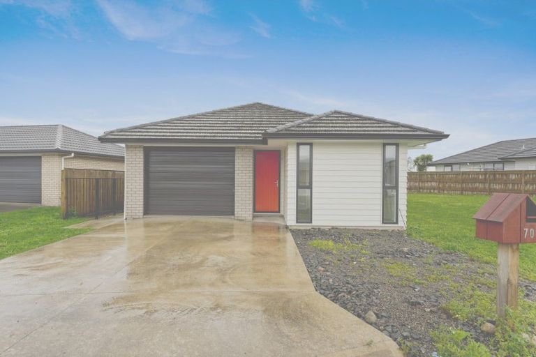 Photo of property in 68 Hinemoa Street, Levin, 5510