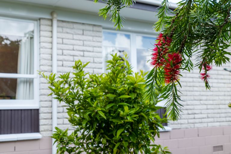 Photo of property in 2/142 Halsey Drive, Lynfield, Auckland, 1042